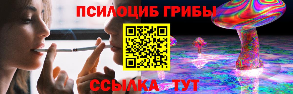 Галлюциногенные грибы GOLDEN TEACHER Балтийск